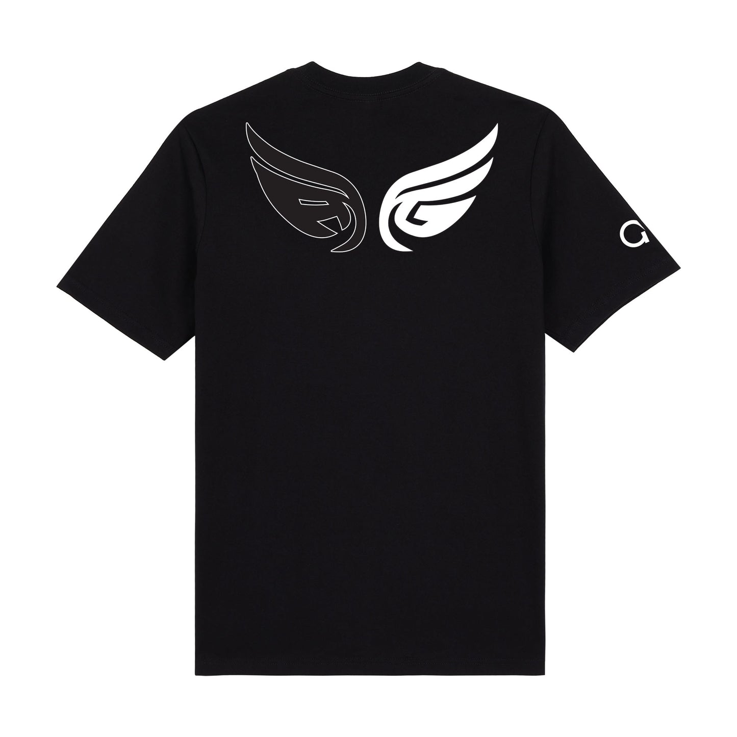 AG Wings