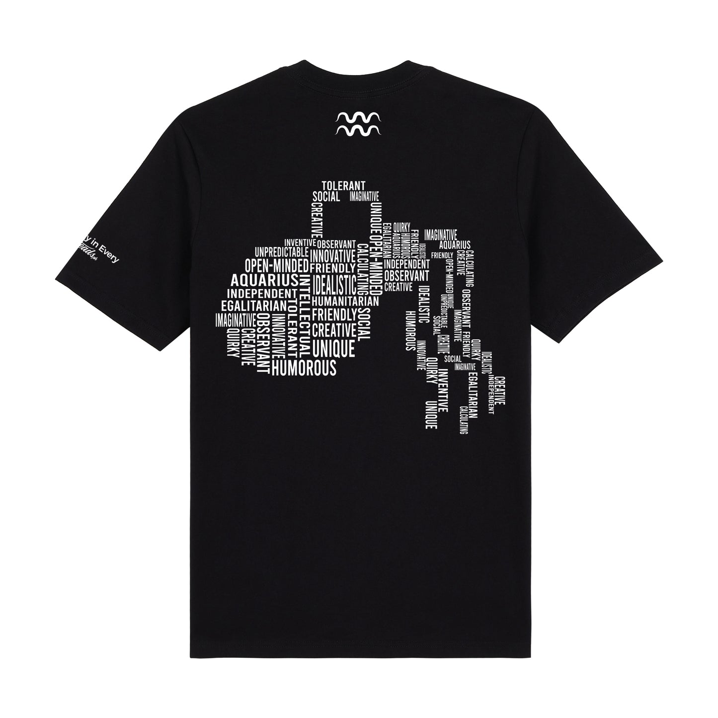 Zodiac Series 3 Aquarius