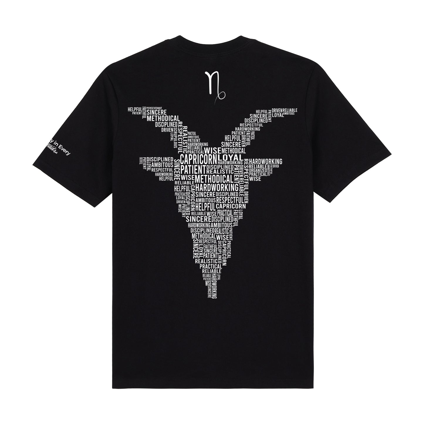 Zodiac Series 3 Capricorn